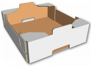 Контейнер Plaform