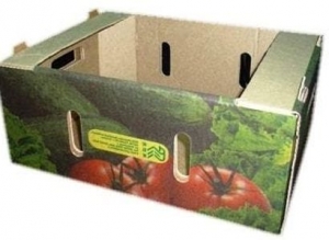 Овощной лоток марки Т 22В