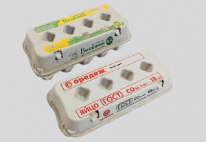 Контейнер для 10 яиц с печатью (ЯК-10Е)