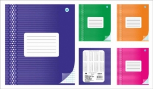 Тетрадь школьная (170*205) Серия "Орнамент" (в клетку) 18 листов