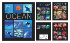 Тетрадь общая (170*205) Океан зак. 2262-17 Q, клетка, 96 л.