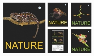 Тетрадь общая (170*205) Рептилии, зак. 2283-17, 48 л