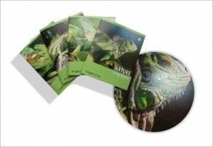 Тетрадь общая (170*205) Рептилии, зак. 895-18, 48л