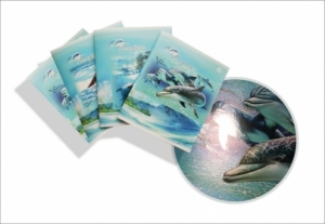 Тетрадь общая (170*205) Дельфины, зак. 902-18, 48 л