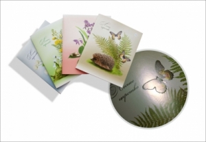 Тетрадь общая (170*205)  Лесное царство, 899-18, 48 л