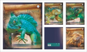 Тетрадь общая (170*205) Игуана, зак. 118-19, 48 л