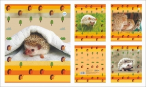 Тетрадь общая (170*205) Ёжик, зак. 120-19, 48 л