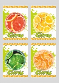 Блокнот Цитрус зак. 2346-17, 74х105