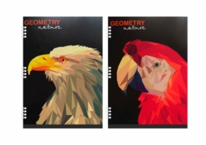 Тетрадь общая, со спиральным креплением, зак. 1791-18, 165х203х, 4+0, 40 л