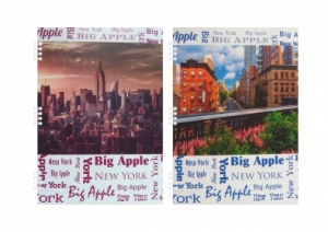 Тетрадь общая, со спиральным креплением, зак. 1791-18, 165х203х, 4+0, 40 л