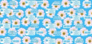 Спартак ромашки