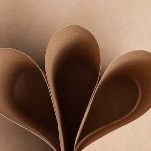 Крафт бумага Advantage Speed