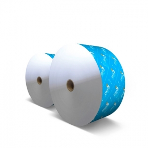 DNS® performance plus